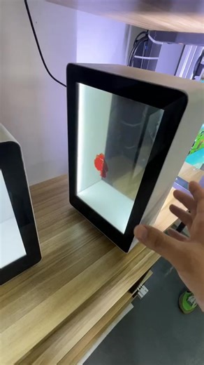 1.1K views | Magic transparent hologram box to show something interesting #fyp #foryou | Whaley94 | Facebook