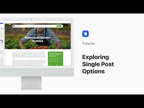 Exploring Single Post Options | Basic Tutorial | Blocksy