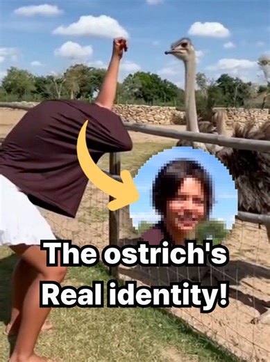 Discovering the True Nature of Ostriches