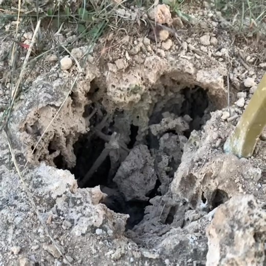 4.1K views | An archaeological discovery of an ancient treasure dating back to ancient times #treas~-001 #treasurehunting #metaldetectingfinds #history #ww #metaldetecting #shorts #metaldetector | Micole | Facebook