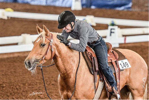 2022 WDAA LEVEL 3 TEST 1 GAITED OPEN - WDAA World Championship Show - 2025 | Videos, Live Streams, Films and Shows | ClipMyHorse.TV