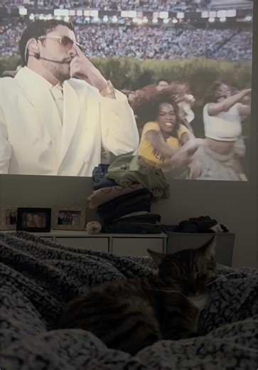 a vibe #cats #catsofttiktok #badbunny #halftimeshow | cats