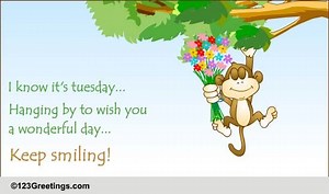 It's Tuesday, Keep Smiling!
