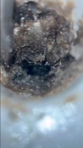 Jobs with Adam: Shower Drain Flow Restored, but Scale Buildup Remains