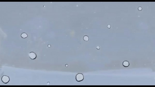 The Peanuts Movie (2015)