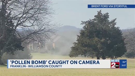 Pollen bomb caught on camera in Franklin