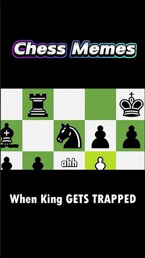 When a Pawn Invades the Kings Castle | Chess Memes #007