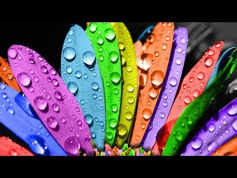 Enchroma and Colorblindness Explained!