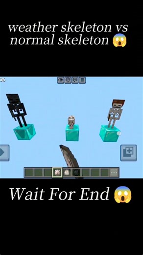 weather skeleton vs normal skeleton 😱 in Minecraft