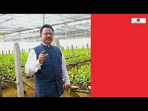 Orchid farming: Turning passion into petals | Orchid Biotech