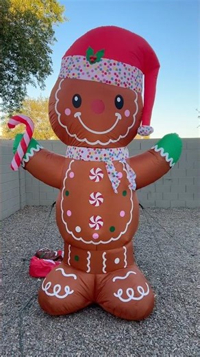 Christmas! #christmas #xmas #music #jonasbrothers #inflatable #cool #pair