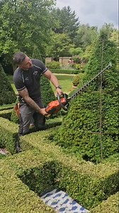 1.2M views · 7.5K reactions | Cutting in yew topiary using a frame to...