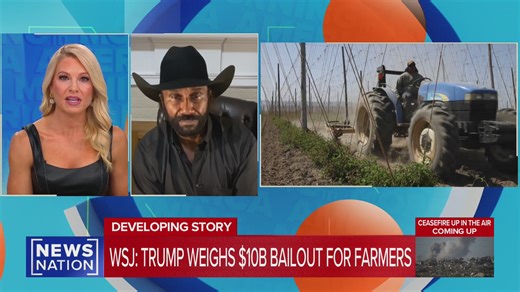 3.1K views · 43 reactions | The government shutdown will prevent America's farmers from receiving some payments and aid. On "Morning in America," National Black Farmers Association President John Boyd Jr. warns funding disruptions will pile on to falling crop prices, rising debts and trade wars already plaguing the industry. #Government #Agriculture #Politics | NewsNation | Facebook