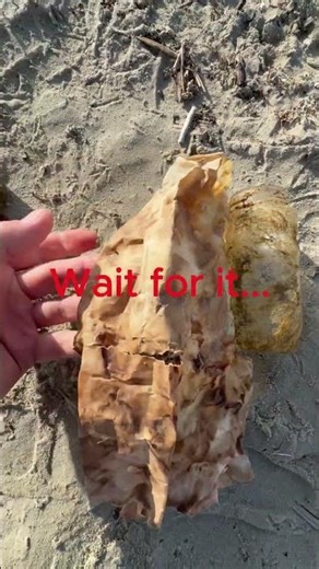 REAL Message in a bottle! Found walking the beach with Marley.