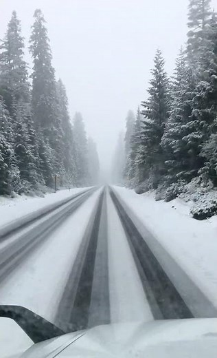 Snowy day in Oregon #nature #mountainrange #mountains #wintertree #forest #snow
