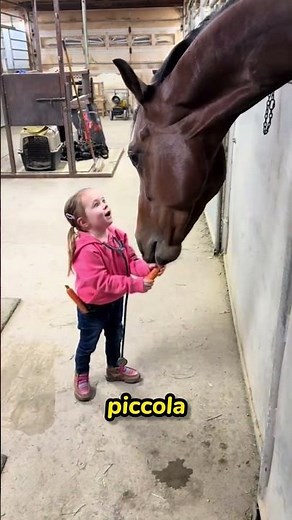The Horse Trusted Only Her