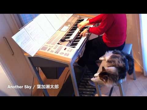 エレクトーン演奏 『Another Sky / 葉加瀬太郎』