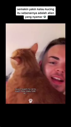 hantutimeline on TikTok