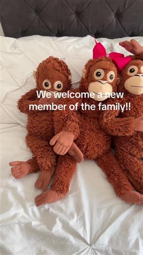 Meet the New Member of the Family - Radioactive Monkey Plush