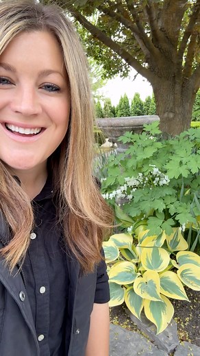 68K views · 7.8K reactions | My favorite spring plant combination! ✨ | Garden Answer | Facebook