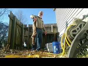 Project coon skin caps. Part 1 . Coon fleshing, salting.