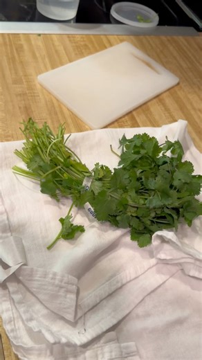 Everything you’ve ever wanted to know about storing cilantro is either in this video or in the comments. The foil method ended up working almost as well as the deli container. Please add what you do in the comments!😁🌱 #OptimisticKitchen #happyeating #makeyourkitchenyourhappyplace #HomeCook #FoodBlogger #HomeCooking #freshproduce #bulkproduce #foodbudget #reducefoodwaste #cilantro | Optimistic Kitchen