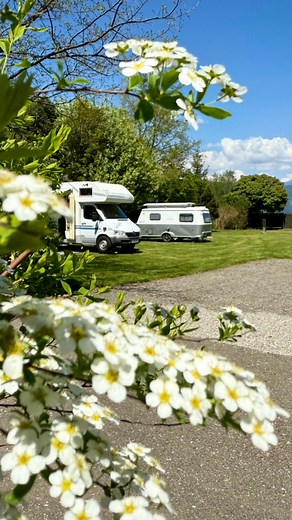 Ancampen 2025 🚐 Bei diesem herrlichen Wetter durften wir heuer gemeinsam mit vielen lieben Campern in das Ancampen-Wochenende starten. 🏕️✨ Unsere großzügigen Stellplätze bieten dabei den perfekten Rückzugsort mitten im Grünen und laden zum Erholen ein. 🌳 #camping50plus #ilikefisching #campingösterreich #campingvakantie #camperleven #kampeerauto #campinginspiration #campingtipp #topcamping #campingpark #wohnmobilurlaub #naturverliebt #visitsteiermark #campingliebe #unterwegszuhause #wowa #camp
