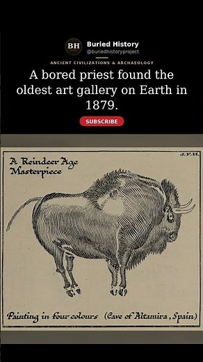 Oldest art gallery found 🦬 #ancienthistory #cavepainting #archaeology