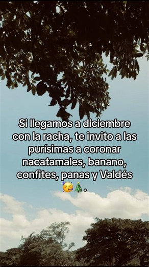 🥳🎆🎄.#purisimas#diciembre#paratiiiiiiiiiiiiiiiiiiiiiiiiiiiiiii#fvppppppppppppppppppppp#viraltiktok