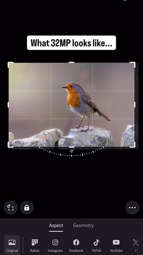 Josiah Kane on Instagram: "Did you know that when cropping an image you actually lose megapixels compared to the overall image at the start. So a smaller cropped image will be a fraction of the overall megapixel value. #photography #quality #megapixel #foryou #lightroom #fyp #canon #beautiful #reel #crop"