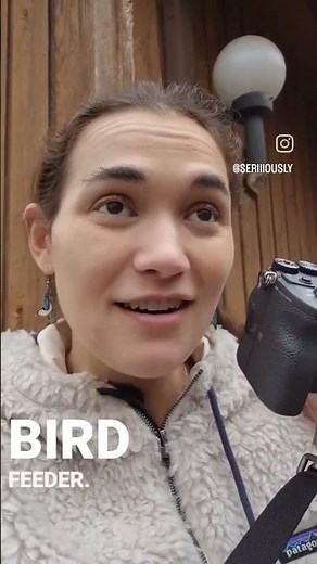 Lessons in Birb Watching #263 - #wildfinds #birdwatching #seripixelbiologist