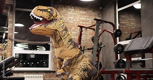 Big dinosaur doll with person inside in the gym, trains, does biceps exercise. Good mood during training. Inflatable doll. workout training with prehistoric animal. Tyrannosaurus Rex dinosaur.