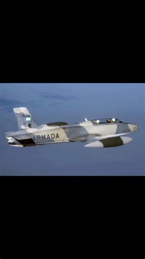 EA41 on Instagram: "67° ANIVERSARIO CONSTITUCION OFICIAL DE LA 1° ESCUADRILLA AERONAVAL DE ATAQUE🦁⚓🇦🇷 Un día como hoy, 4 de diciembre pero de 1958, hace 67 años se constituía oficialmente la 1ra Escuadrilla Aeronaval de Ataque. Fecha en que se realizó el primer vuelo a reacción en la Armada, con un Grumman F9F-2 Panther. Por los hangares de la unidad pasaron también los Grumman F9F Cougar, Aermacchi MB-326GB, MB-339A, Embraer EMB-326GC Xavante y de forma provisoria los North American T-28 Fen