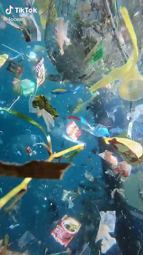 Ocean Pollution Video: Under the Sea Trash Removal