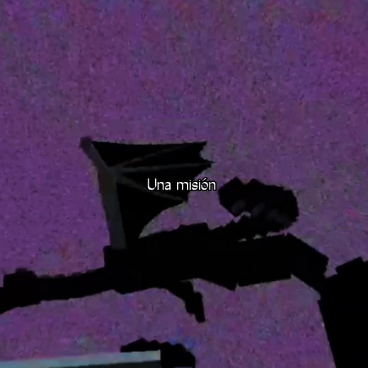 We are nobody on TikTok