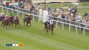 🏆🎄The Chester Champions Countdown to Christmas🎄🏆 2️⃣ sleeps to go! Roman Dragon won the Grey Goose Essences Handicap and the National Racehorse Week Handicap during 2023, allowing him to collect his fifth title on the Roodee. He has now headed out to Bahrain alongside stablemate Box To Box for The Bahrain Turf Series🏇 #ChesterRaces | Chester Racecourse