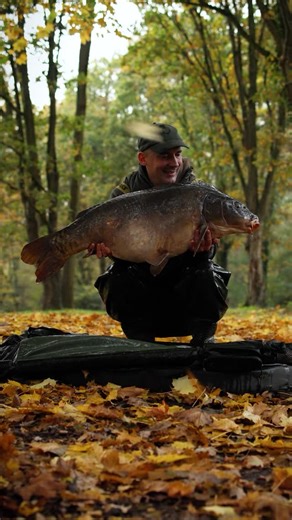 Our new ATTa alarms have been hugely popular since their release. Available now from all good Gardner Tackle stockists! #carp #carpfishing #fishinglife #fishingislife #fishinglifestyle #fishingtime #fishingaddict #gardnertackle | Gardner Tackle