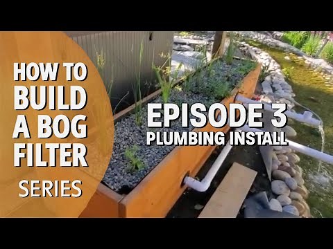 How to build a bog filter (Series) Keeping Your Koi Pond Clean- Episode 3 - Liner and Plumbing