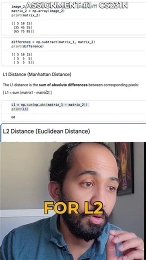 CS231n - L1 vs L2. Nearest Neighbor classifier.