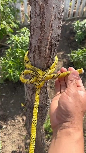 Shepherd's Knot, used for herding in ancient times #strong #knot #tricks