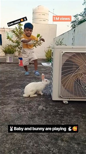 Cute Rabbit Trendingvideo🥰😍🐰🐇#mycutebunny#khargosh#rabbit#youtubeshorts#pets#animals #cuterabbit
