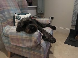 British Sign language Beginners Conversation Practise-Subtitles Available