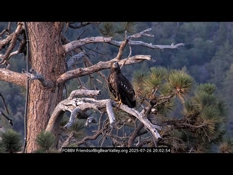 7-26-2025 Quiet… And Then Lots Of Activity