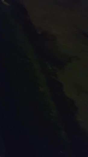 quero adotar ele alguém? #hellsparadise #foryou #thetracker #viral #fyp