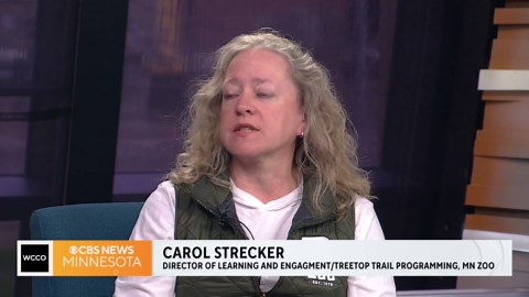 Celebrate Arbor Day at the Minnesota Zoo