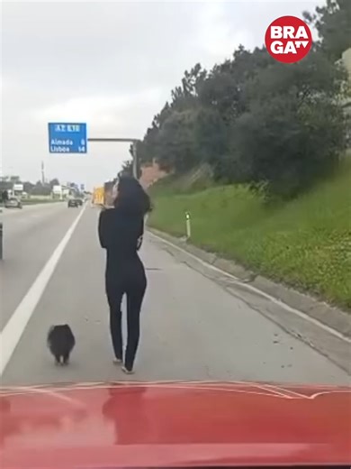 Uma mulher foi vista a passear descalçar na berma da A2 com os seus cães. Os automobilistas deram o alerta e as autoridades foram mobilizados para o local. A mulher foi transportada para o hospital.