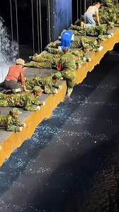 This army officer escapes falling from bridge #shortsreels #reelschallenge #reels #viral | Unroll Facts