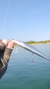Pescando en Miami en Kayak #pescandoenmiami #kayakfishing #Barracuda | Yasma Avila Vivencias de Pesca