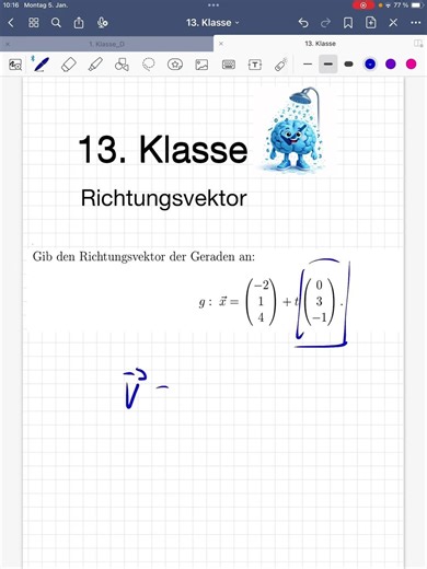 MaDu: 13th grade, direction vector