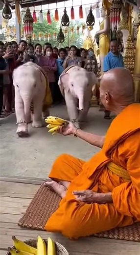 วิดีโอของ Dreamcast (@dreamcast46) พร้อมเพลง เสียงต้นฉบับ - Dreamcast